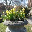 garten14_22.jpg